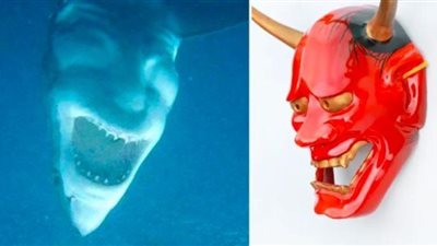 شاهد.. صورة سمكة قرش تشبه الشيطان تثير الذعر حول العالم