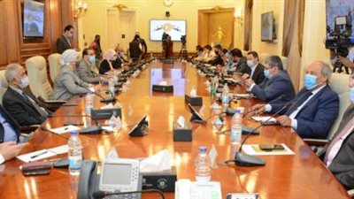 تفاصيل هامة يكشفها «شعراوي» عن سير انتخابات النواب 2020