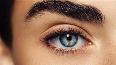 لن تصدق.. شكل الحواجب يكشف عن الشخصية النرجسية