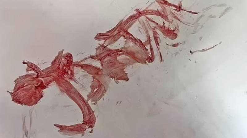 بقعة الدماء