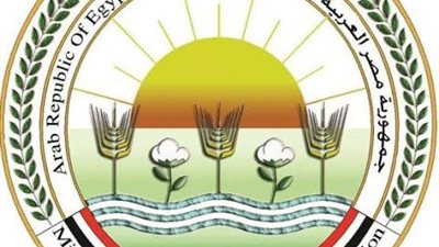 تعرف على تفاصيل مشروع إحياء الحرير من جديد فى الوادي الجديد