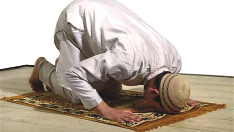 الموجز
