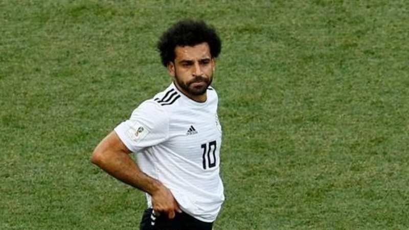 الموجز