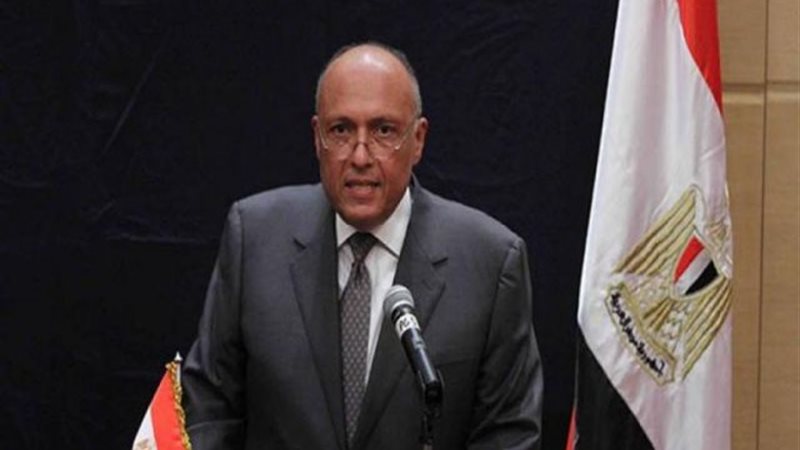 سامح شكري