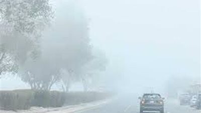 الشتاء على الأبواب .. تعرف على أحوال الطقس خلال الأسبوع الحالي