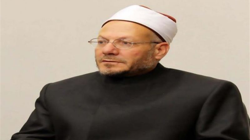 شوقى علام