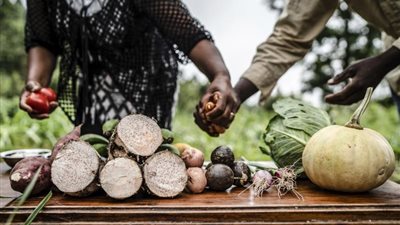مجلس الوزراء يستعرض حجم خسائر قطاع الأغذية الزراعية عالميا بسبب تغير المناخ