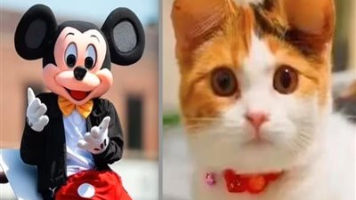 مفاجأة.. أذنيّ ميكي ماوس أحدث صيحة في عالم تجميل الحيوانات الأليفة