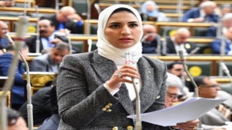 النائبة نشوى رائف