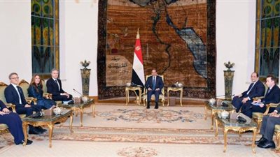 صور اتفقا على رفض تهجير الفلسطينيين.. الرئيس السيسي يستقبل وزير الخارجية الأمريكي (صور)