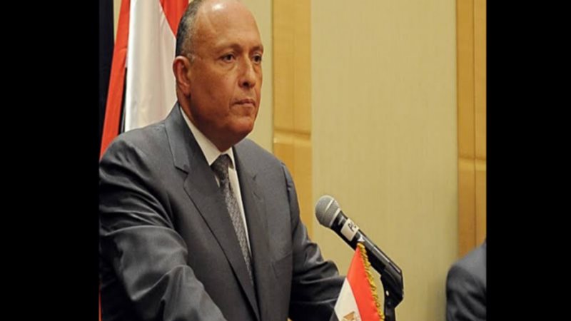 السفير سامح شكري