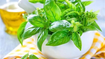 فوائد مذهلة تجهلينها الريحان.. فما هي؟