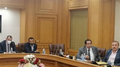 شعبة المستوردين تناقش المواد الخلافية بمشروع قانون الإجراءات الضريبية الموحد