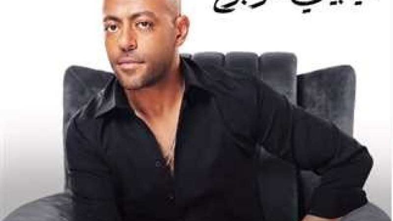 تامر عاشور