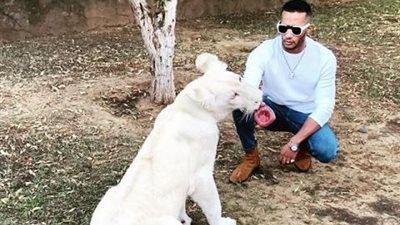 محمد رمضان يداعب ”أسد أبيض” على طريقته الخاصة (فيديو)