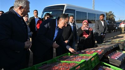 صور رئيس الوزراء يتفقد مزرعة للصناعات الغذائية بالنوبارية (صور)