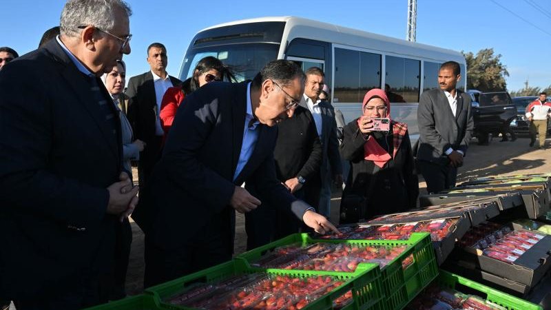 الموجز