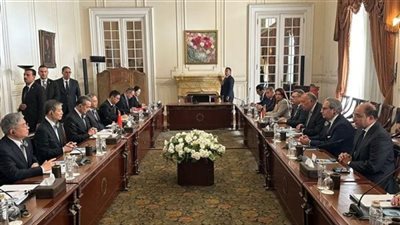 7 قرارات توافقية بين مصر والصين لحل القضية الفلسطينية