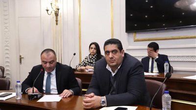 ”الشيوخ“ يشيد بالتكليف الرئاسي لتحسين الأجور