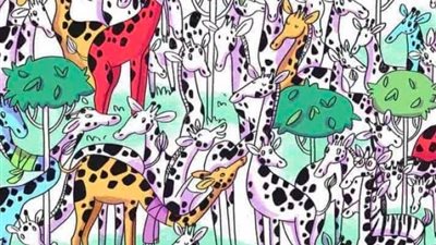 لأصحاب النظر الحاد.. هل يمكنك اكتشاف الحمار الوحشي في الصورة؟