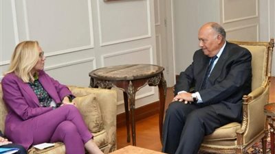 صور كبيرة منسقي الأمم المتحدة للشئون الإنسانية تشيد بجهود مصر في تخفيف معاناة غزة