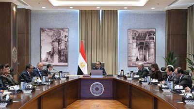 استصلاح 500 ألف فدان بمحاصيل تناسب البيئة.. الحكومة تخلق مسار زراعي جديد بسيناء