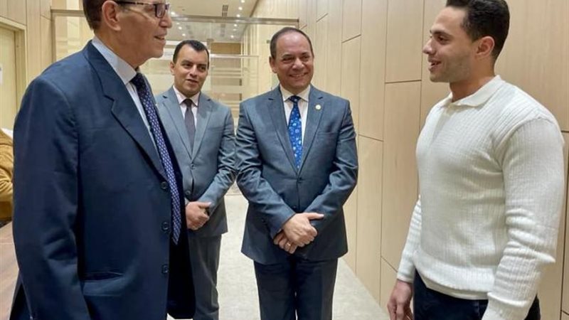 رئيس النيابة الإدارية