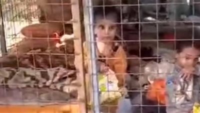 صدمة في العراق.. أم تحبس طفليها في قفص وتلقيهما بحديقة عامّة (فيديو)