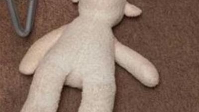 دمية دبدوب تُحقق العدالة وتسقط مغتصبًا في قبضة الشرطة