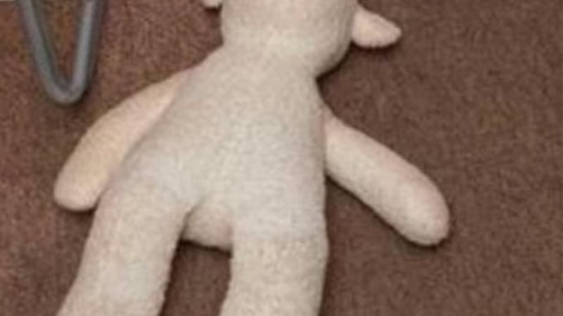 الدبدوب