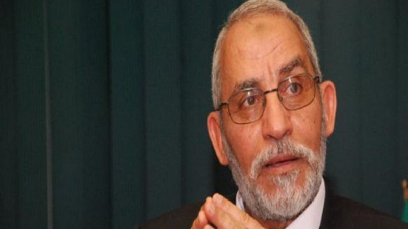 بديع: الثورة نجحت