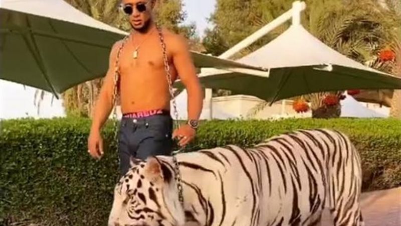 الموجز