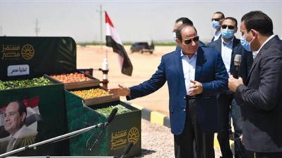 عاجل.. الرئيس السيسي يكشف معلومات جديدة عن ” مشروع القرن ”