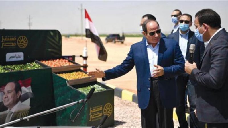 الموجز