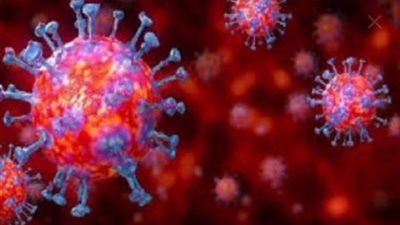 تعرف على أبرز تبرعات المصريين في أزمة كورونا