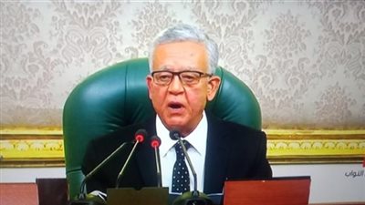 عاجل.. أول تعليق من رئيس مجلس  النواب علي قضية سد  النهضة