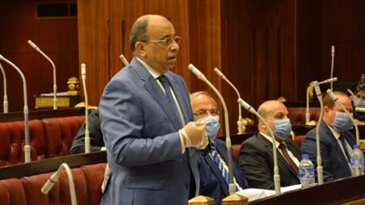 شعراوى يُشارك في اجتماع لجنة الإدارة المحلية