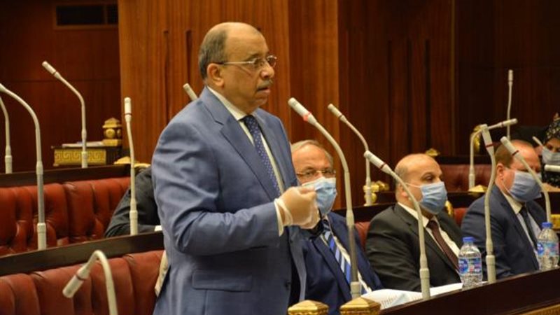 وزير التنمية المحلية