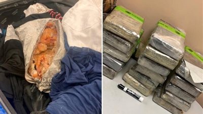 فيديو. أمريكي يٌهرّب 18 كيلو كوكايين داخل جمبري مٌجمّد