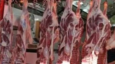 الجملى يسجل 300 جنيه .. أسباب ارتفاع أسعار اللحوم