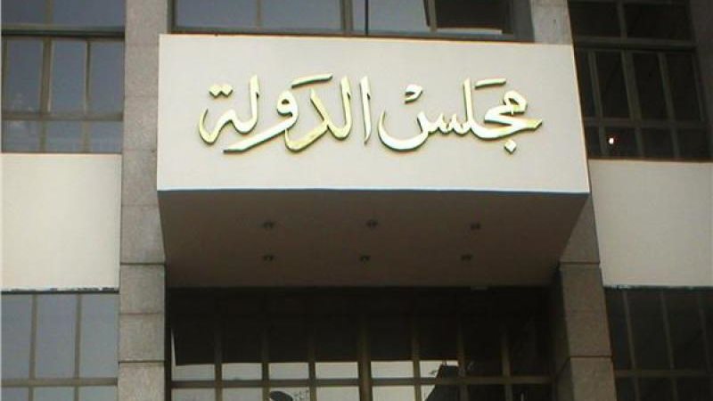 مجلس الدولة