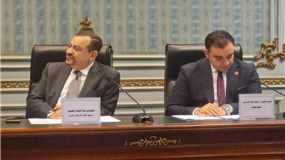 تعرف على خطة البرلمان للسيطرة على أسعار السمك| تفاصيل