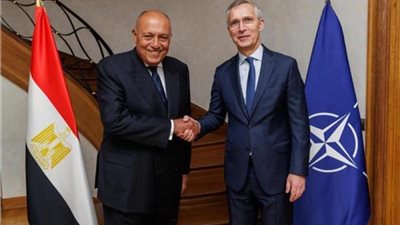 تفاصيل مباحثات وزير الخارجية وسكرتير عام حلف الناتو