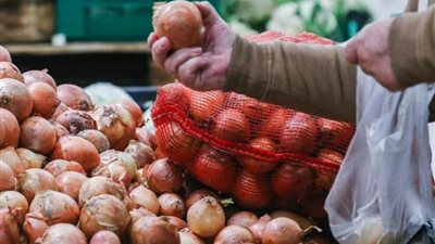 عاجل..  عودة تصدير البصل إبريل المقبل