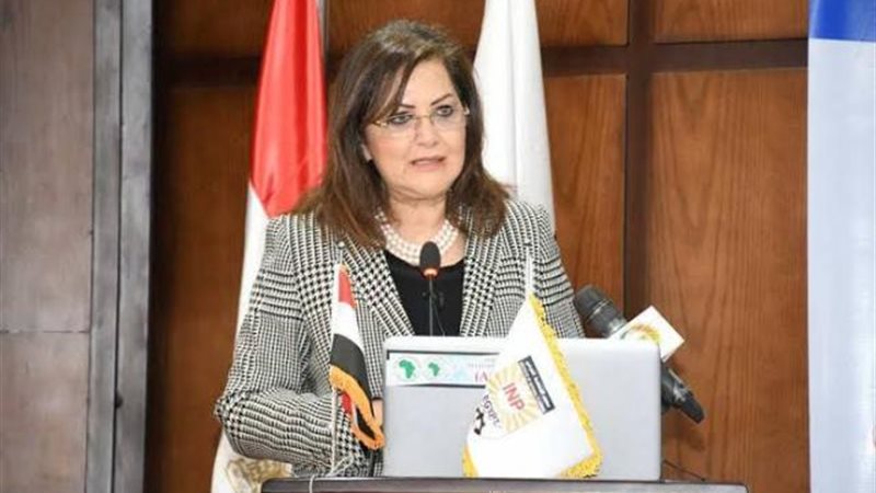 وزيرة التخطيط