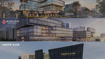 ”انفست ويل” تحتفل بمرور 5 سنوات على إطلاقها.. وتخطط لإدارة استثمارات لمطورين تتجاوز الـ3 مليارات جنيه فى 2024