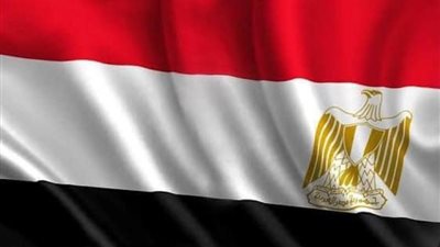 مصر قادرة على حماية مصالحها .. متحدث الرئاسة يوضح