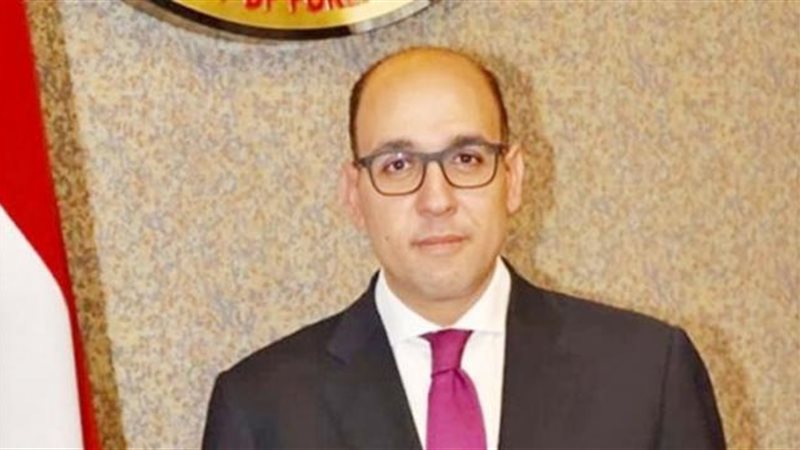 السفير أحمد حافظ