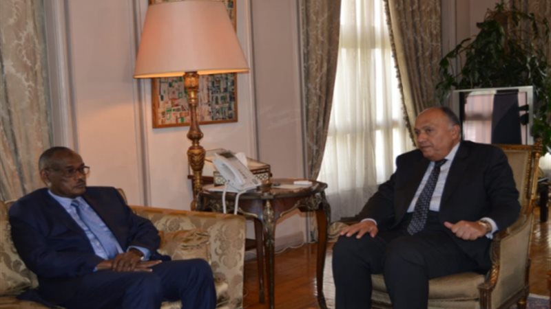 شكري ونظيره السودانى