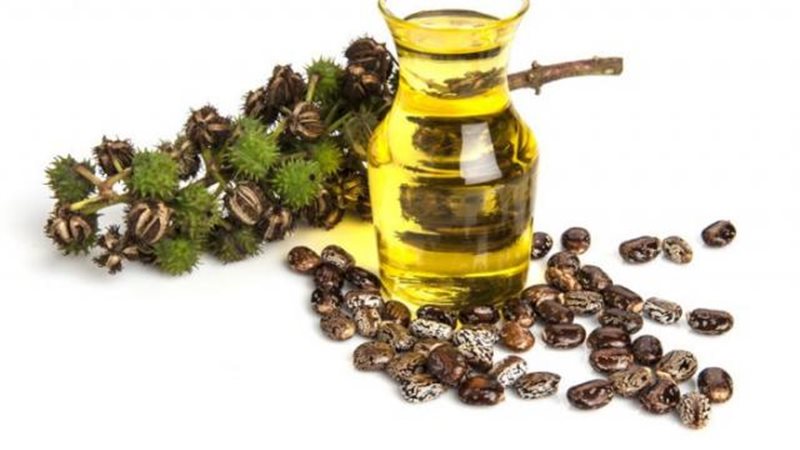 زيت الخروع